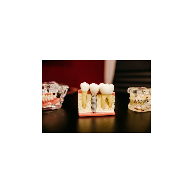 Stomatologie generală